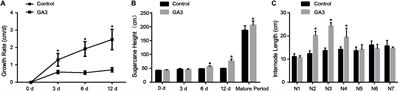 Enhanced Activity of Genes Associated With Photosynthesis, Phytohormone Metabolism and Cell Wall Synthesis Is Involved in Gibberellin-Mediated Sugarcane <mark class="highlighted">Internode</mark> Growth